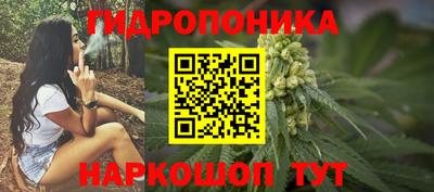 эйфоретик Шахты